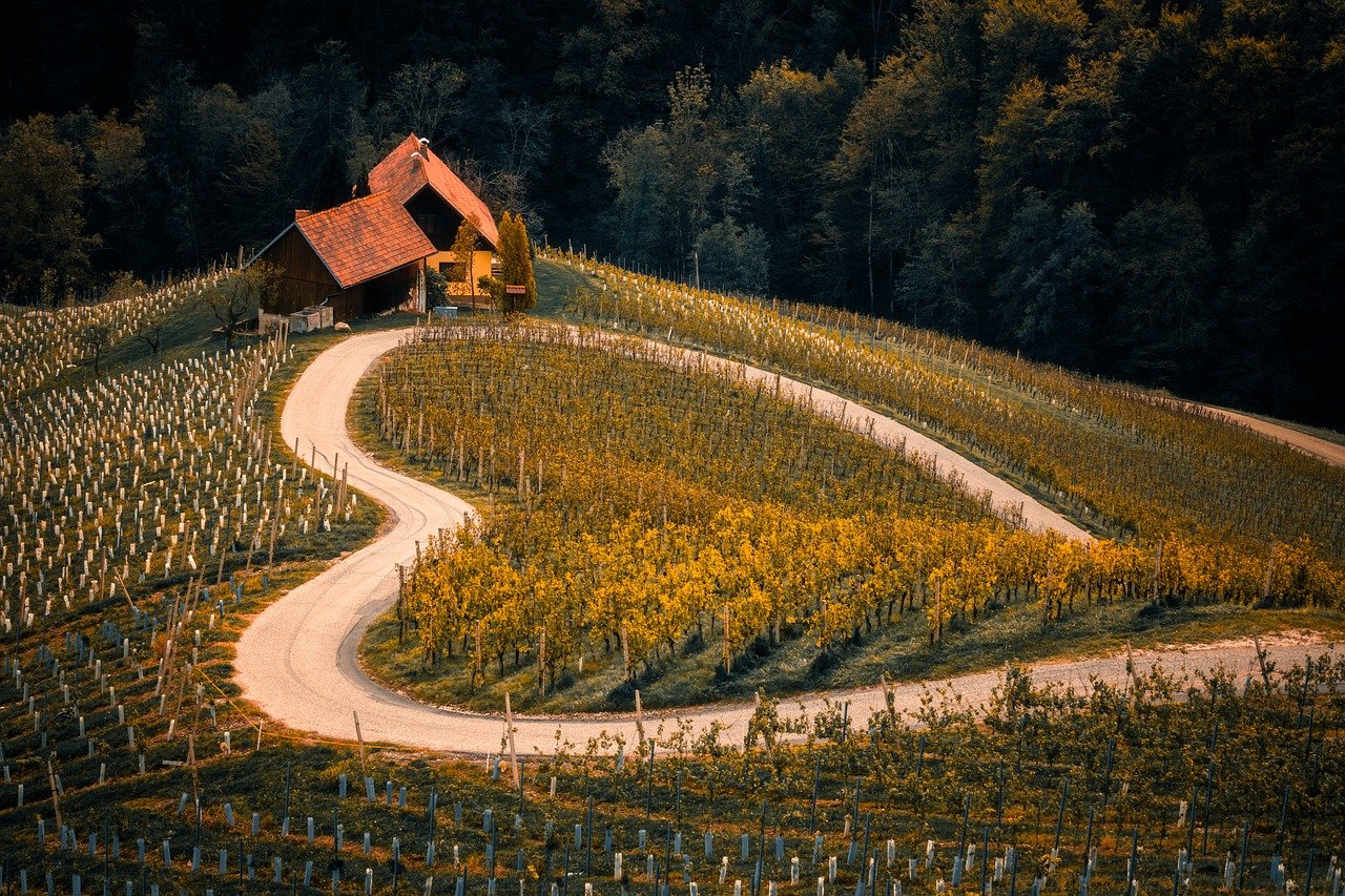 Leutschach