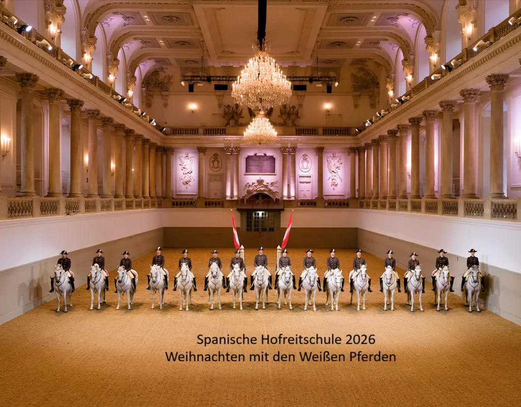 Aufstellung(c)PeterRigaud